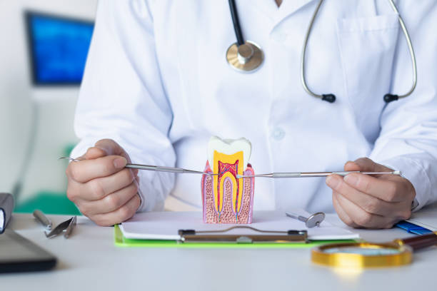Best Emergency Dental Filling Replacement  in Dubach, LA